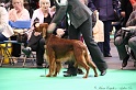 Crufts2011 595